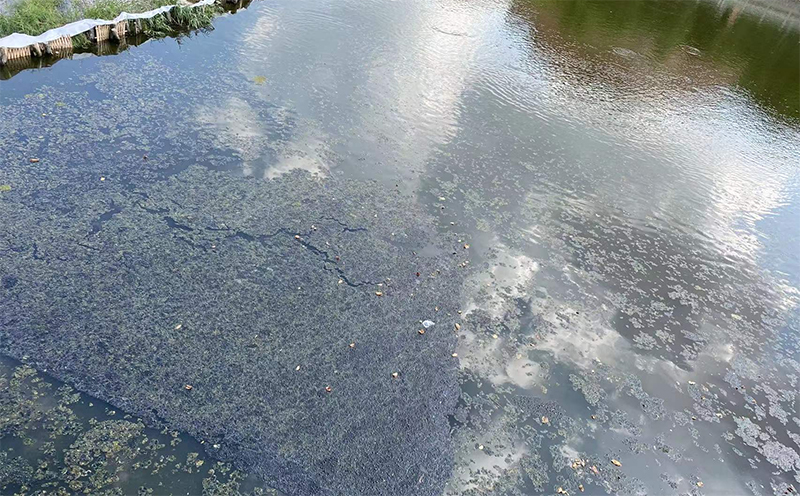 萬賓智能監(jiān)測產(chǎn)品應用于廈門埭頭溪流域綜合治理智慧平臺項目(圖3)