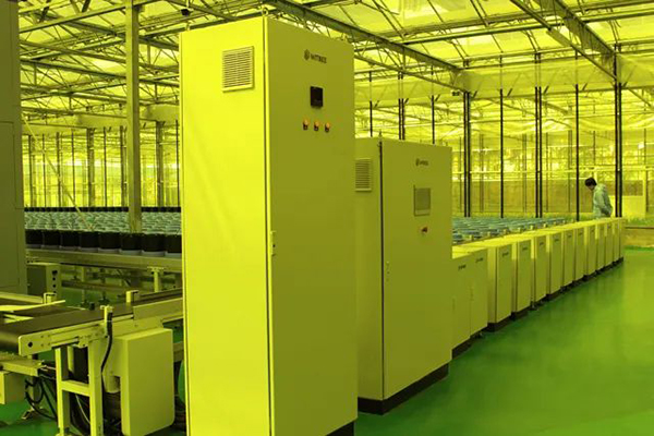 省委副書記率省委農(nóng)辦領(lǐng)導(dǎo)調(diào)研水稻表型智慧平臺(圖2)