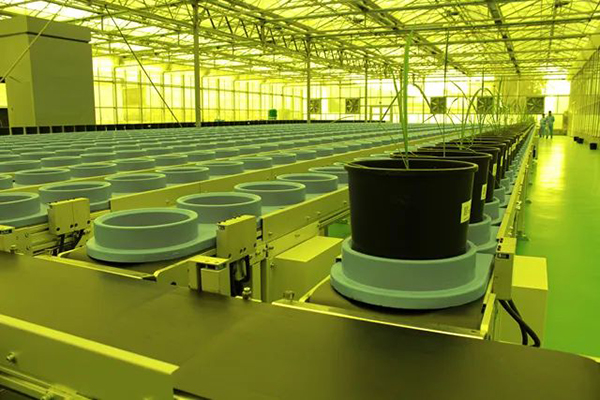 省委副書記率省委農(nóng)辦領(lǐng)導(dǎo)調(diào)研水稻表型智慧平臺(圖3)